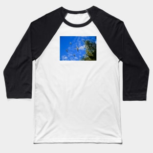 Tante ju airplane / Swiss Artwork Photography Baseball T-Shirt